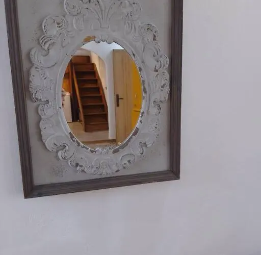 κυθνος δρυοπίδα, στούντιο χατζής