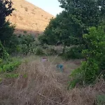 κυθνος δρυοπίδα, στούντιο χατζής Dhriopís
