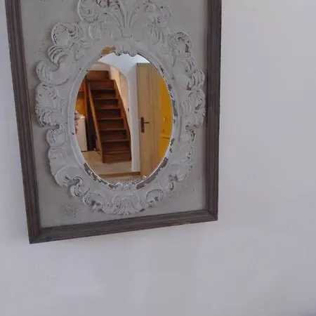 κυθνος δρυοπίδα, στούντιο χατζής